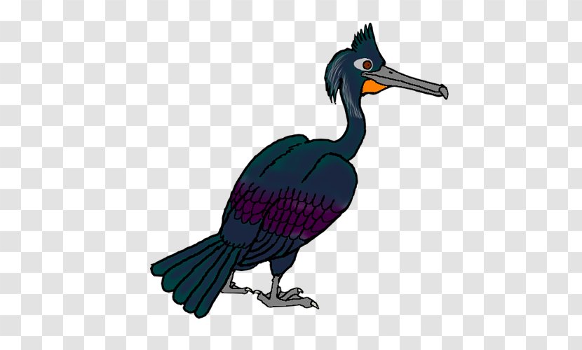 Cygnini Goose Beak Duck Bird - Feather Transparent PNG