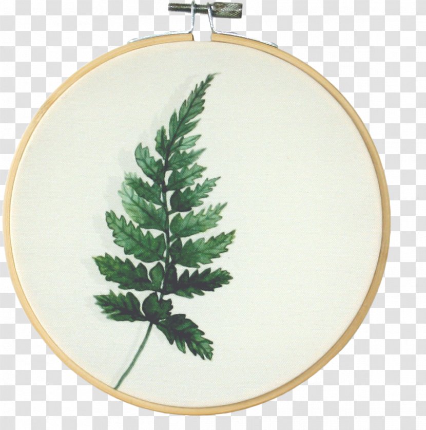 Banana Leaf Christmas Ornament Spruce Painting .nl - Mediumship - Fern Transparent PNG