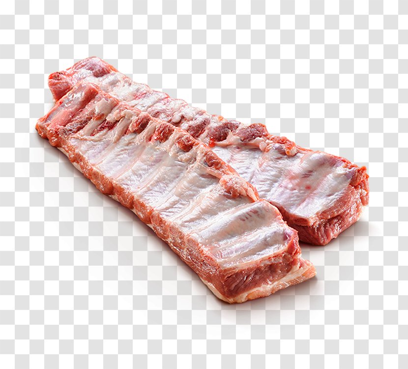 Spare Ribs Back Bacon Pork - Watercolor - Meat Transparent PNG