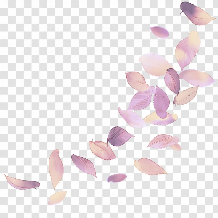 Lilac Pink Petal Violet Plant - Flower Transparent PNG