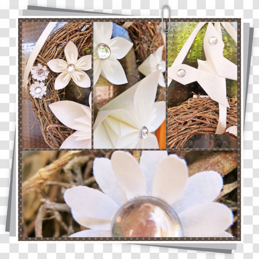 Floral Design Picture Frames Flowering Plant - Petal Transparent PNG
