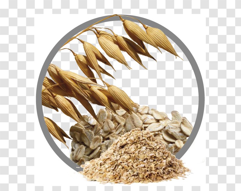 Oat Vegetarian Cuisine Cereal Germ Whole Grain - Embryo - Andrographis Paniculata Transparent PNG