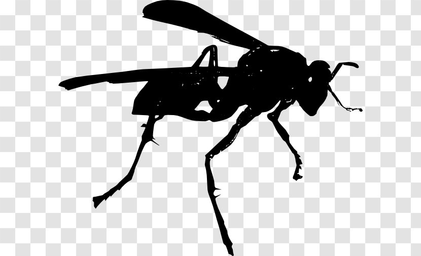 Hornet Bee Wasp Clip Art - Wing Transparent PNG
