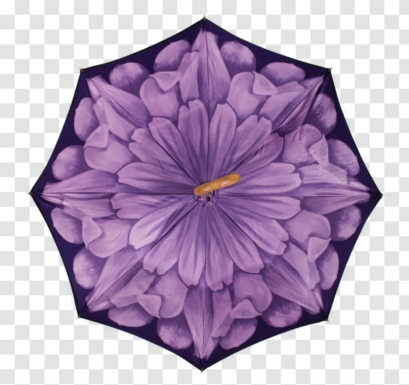Mandala Coloring Book Flower - Purple Maple Leaf Transparent PNG