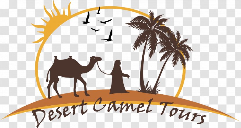 Camel Merzouga Fes Casablanca Clip Art - Horse Like Mammal - Logo Transparent PNG