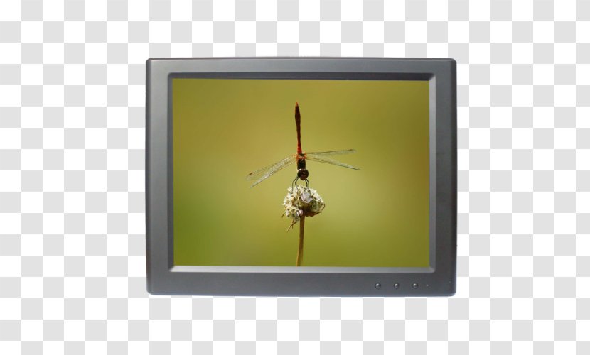 Computer Monitors Display Resolution Contrast Inch Touchscreen - Lightemitting Diode - Displaylink Transparent PNG