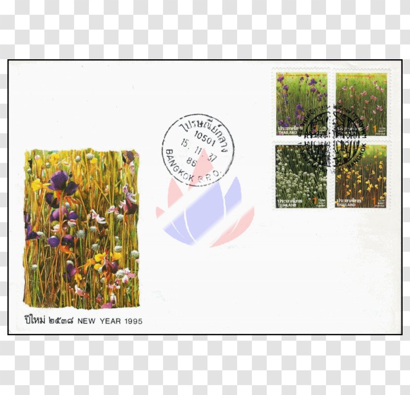 Floral Design Ecosystem Meadow Picture Frames - Organism Transparent PNG