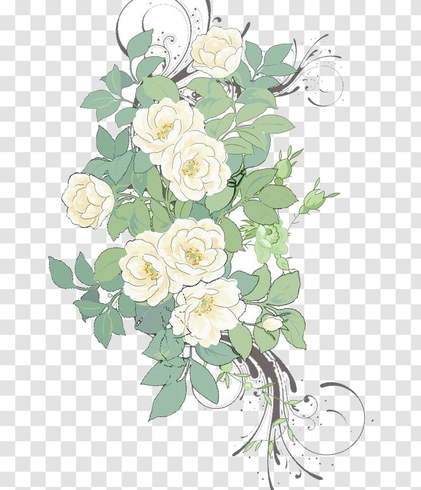 Flower Painting Pattern - Template - White Rose Flowers Background Material Transparent PNG