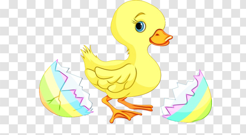 Duck Bird Ducks, Geese And Swans Water Bird Yellow Transparent PNG