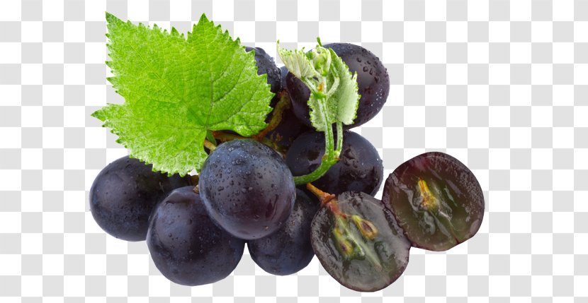 Common Grape Vine Seed Oil Organic Food - Black Seeds Transparent PNG