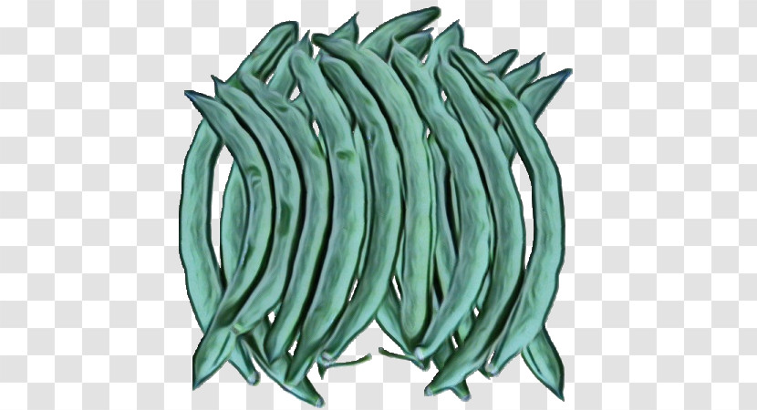 Vegetable Green Beans Green Transparent PNG