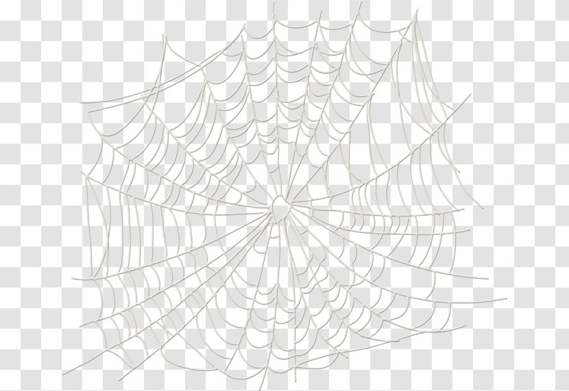 Twig Spider Symmetry White Pattern - Monochrome Photography Transparent PNG