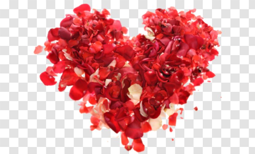 Dia Dos Namorados Love Valentine's Day Flower Bouquet Camila - Red Transparent PNG