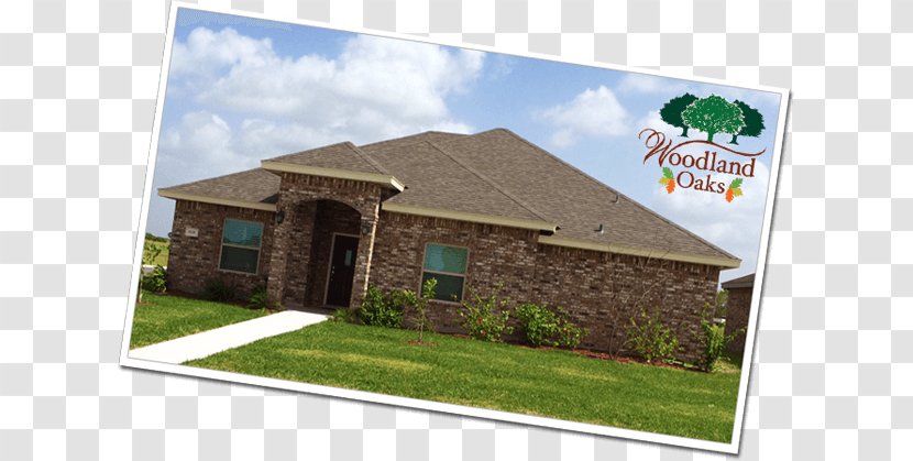 Woodland Oaks Subdivison East Drive Location House - Texas - Lively Atmosphere Transparent PNG