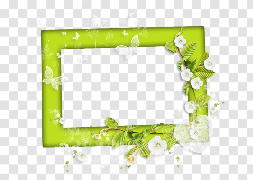 Picture Frame Film Photography Ornament - Green Transparent PNG