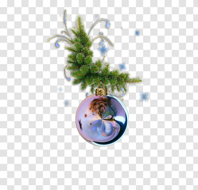 Christmas Raster Graphics Clip Art - Pine Family Transparent PNG