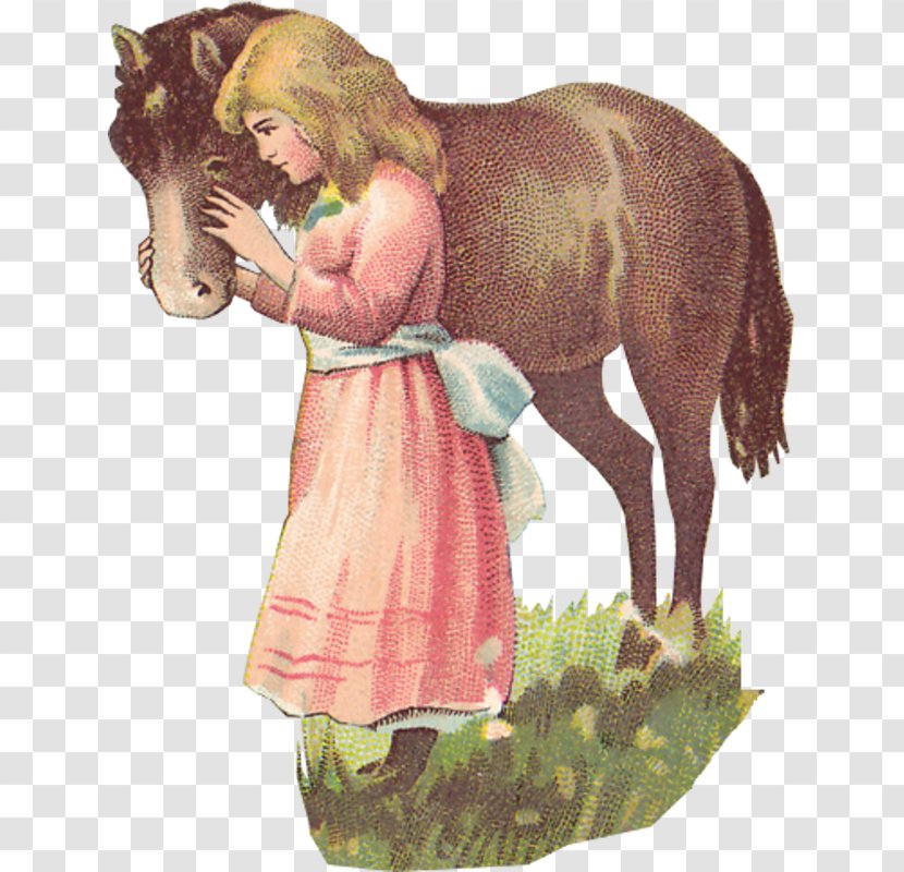 Nizhny Novgorod Pony Human Behavior Author - OL Transparent PNG