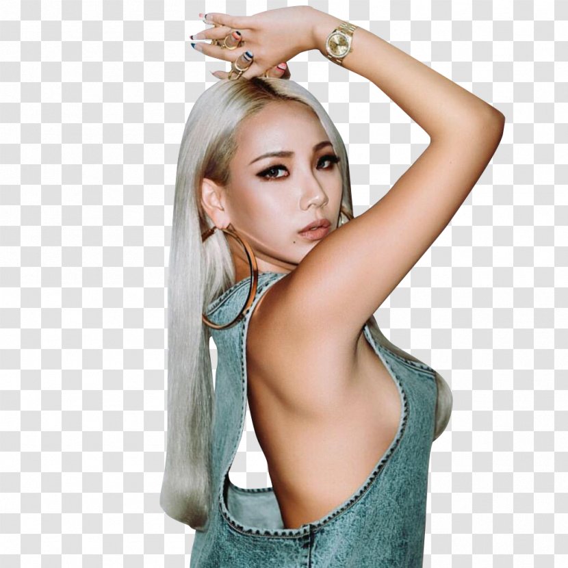 CL 2NE1 South Korea K-pop - Watercolor - Frame Transparent PNG