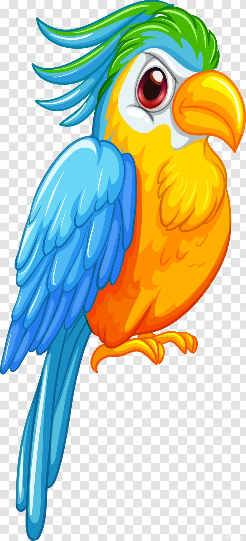 Parrot Bird Royalty-free - Vertebrate Transparent PNG