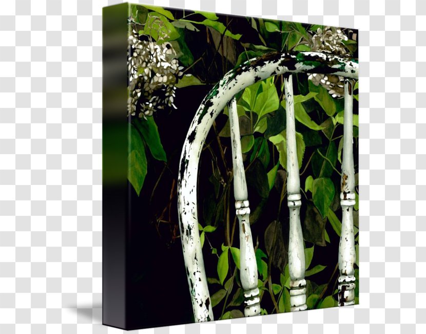 Gallery Wrap Canvas Tree Art Flowerpot - Printmaking Transparent PNG