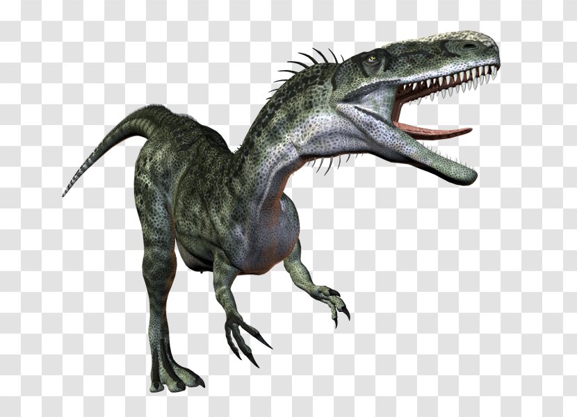 Tyrannosaurus Velociraptor PhotoScape GIMP - Dinosaur - Dinosaurs Transparent PNG