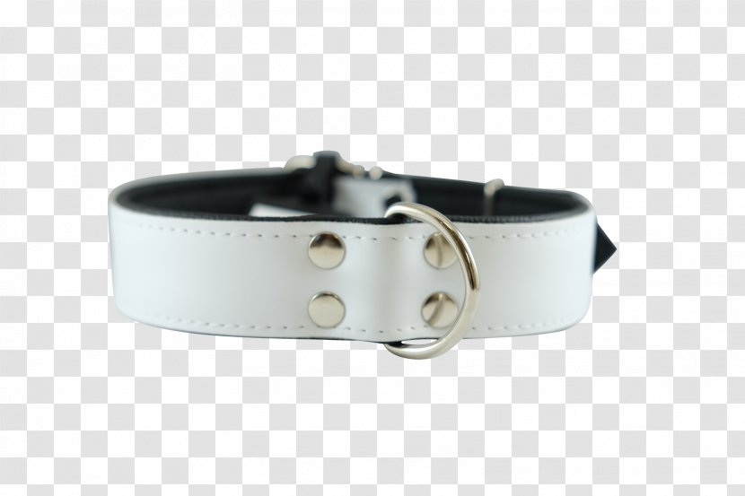 Dog Collar Belt Buckles - White Transparent PNG