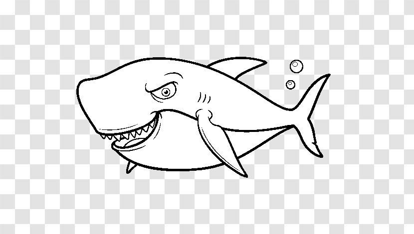 Great White Shark Drawing Coloring Book Illustration - Tiger - Peixe Espada Em Ingles Transparent PNG