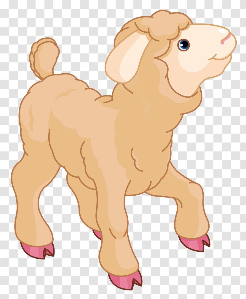 Sheep Lamb And Mutton Clip Art - Silhouette - Baby Cliparts Transparent PNG