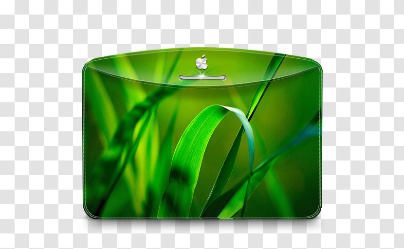 Leaf Green Grass - Home Screen - Folder Nature Leave Transparent PNG