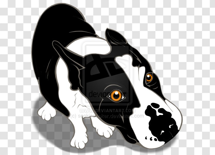 Dog Breed Miniature Bull Terrier English White And - West Highland - Staffordshire Transparent PNG
