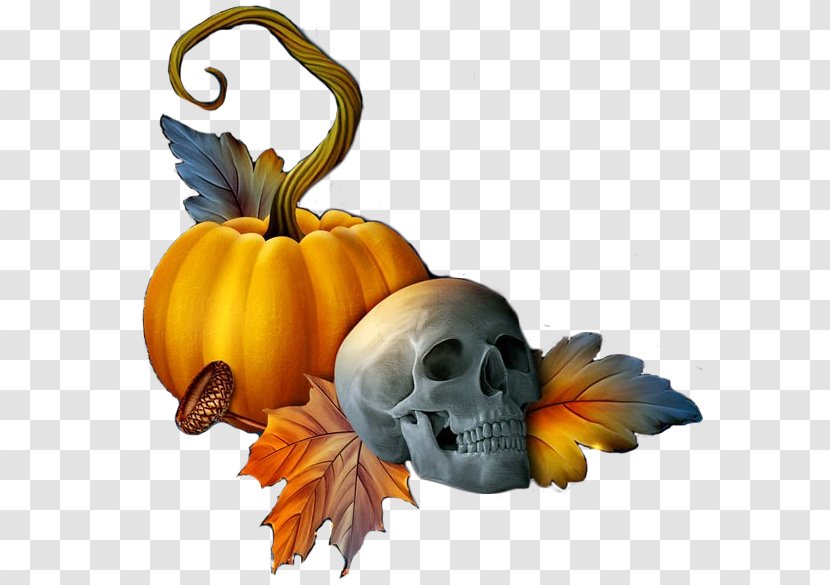 Jack-o'-lantern Halloween Pumpkin Calavera Winter Squash - Organism Transparent PNG