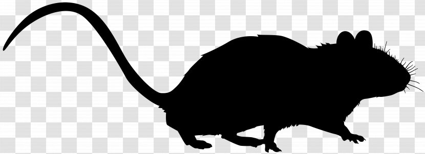 Whiskers Rat Cat Muroids Clip Art - Blackandwhite - Snout Transparent PNG