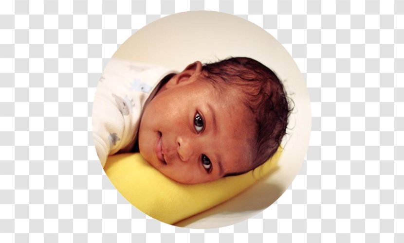 Infant Toddler - Prenatal Education Transparent PNG
