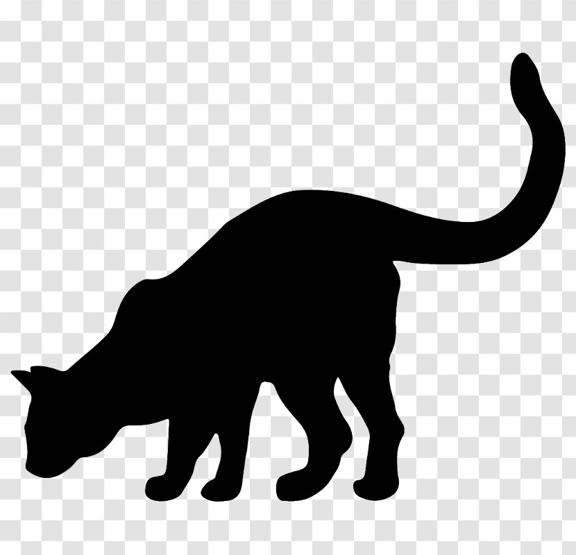 Whiskers Black Cat Wildcat Domestic Short-haired - Fauna Transparent PNG
