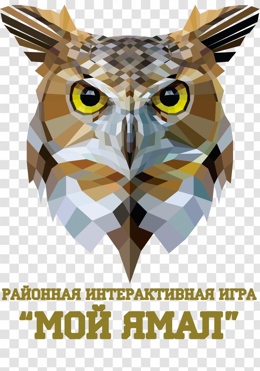 Owl Vector Graphics Royalty-free Image Illustration - Bird Transparent PNG
