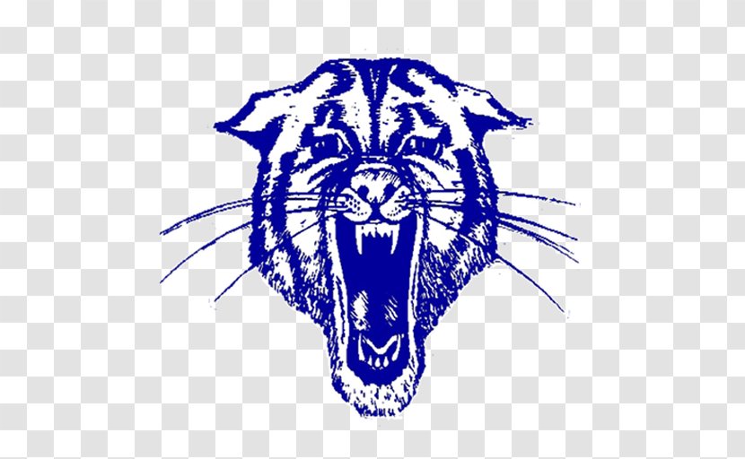 Tiger Hector High School Wildcat Bigelow - National Secondary Transparent PNG
