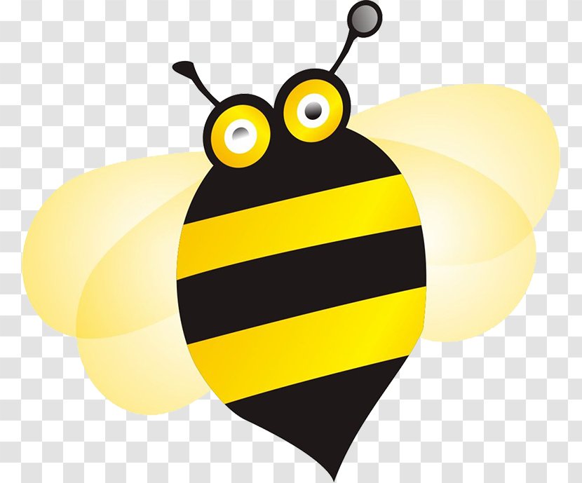 Bee Drawing Cartoon - Butterfly Transparent PNG
