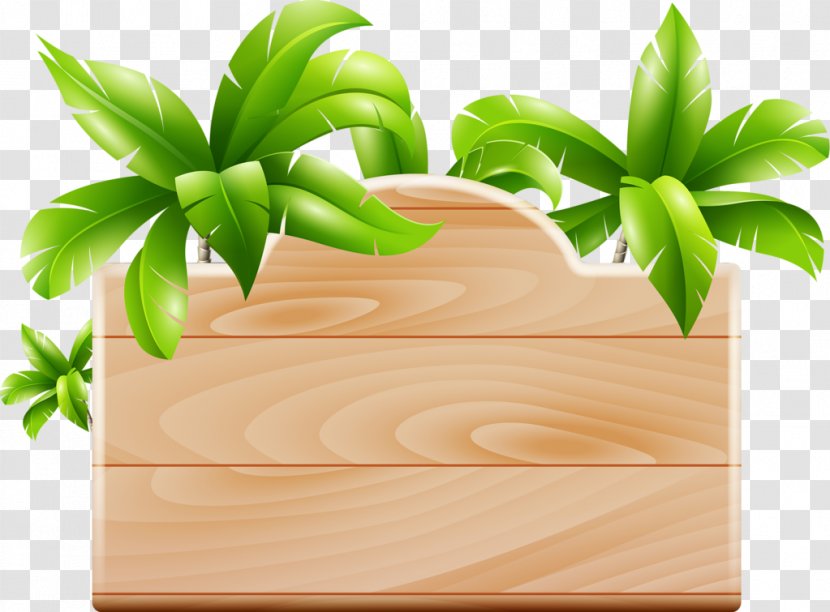 Wooden Background - Coconut - Plant Transparent PNG