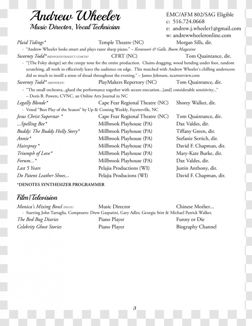 Résumé Template Musical Theatre Cover Letter - Frame - Modern Cv Transparent PNG