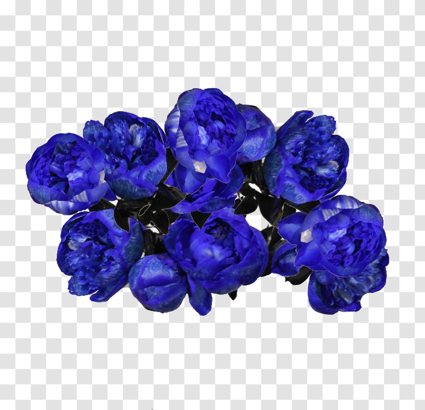 Blue Peony Flower Bouquet Dom Pionov Cut Flowers Transparent PNG