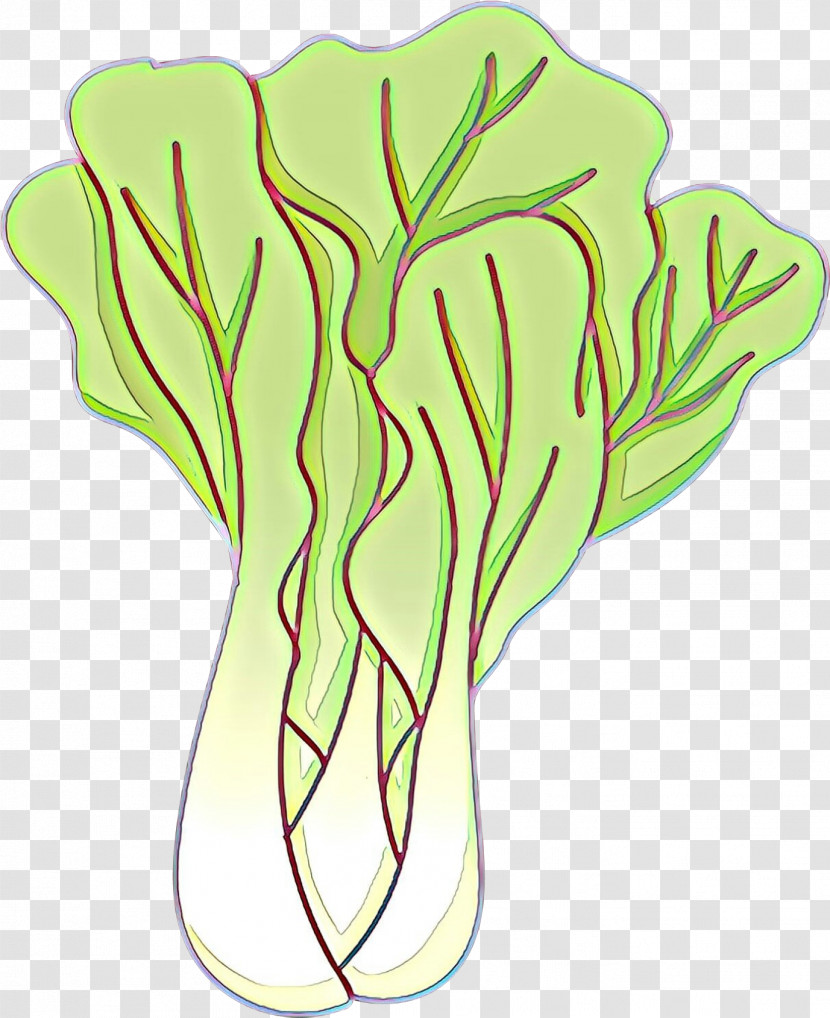 Leaf Vegetable Vegetable Plant Cabbage Plant Stem Transparent PNG