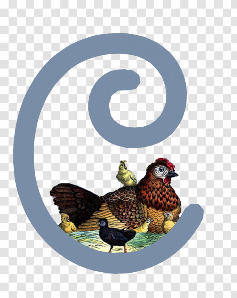 Book Of Mormon Rooster The Church Jesus Christ Latter-day Saints Mormonism Chicken - Latterday Transparent PNG