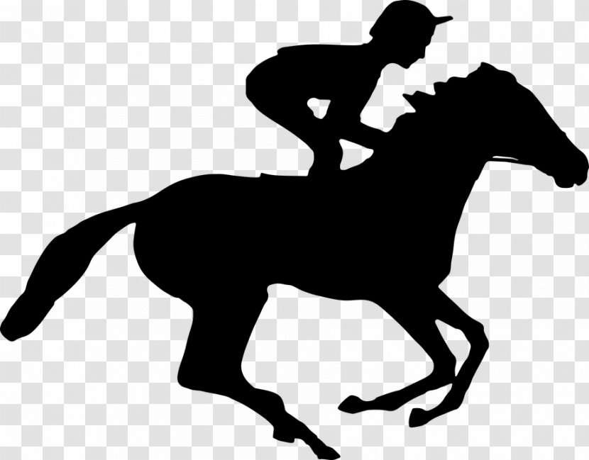 Horse Racing Equestrian Jockey - Livestock - Jockeyfree Transparent PNG
