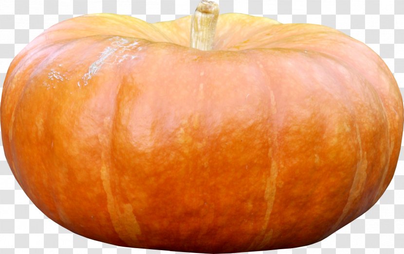 Cucurbita Pumpkin Gourd Vegetable Winter Squash Transparent PNG