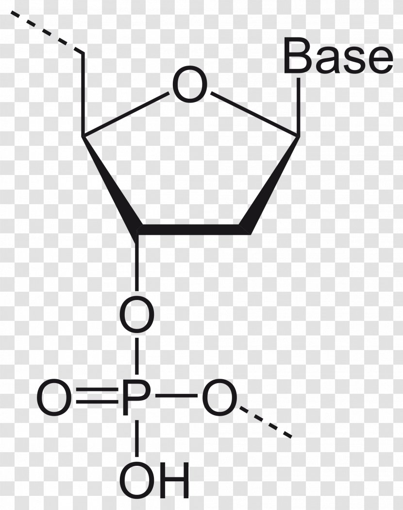 2,3-Bisphosphoglyceric Acid Ribose RNA Phosphorous 1,3-Bisphosphoglyceric - Black - Text Transparent PNG