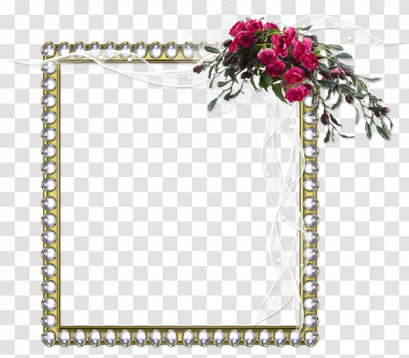 Picture Frames Diary Photography LiveInternet Animation - Decoupage - Frame Transparent PNG