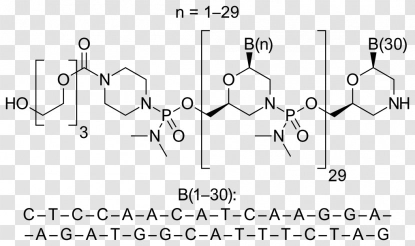 Eteplirsen Duchenne Muscular Distrophy Sarepta Therapeutics Drisapersen Therapy - Mutation - Dystrophy Transparent PNG