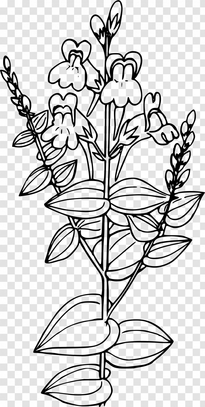 Linaria Vulgaris Clip Art - United States National Forest - Flower Transparent PNG