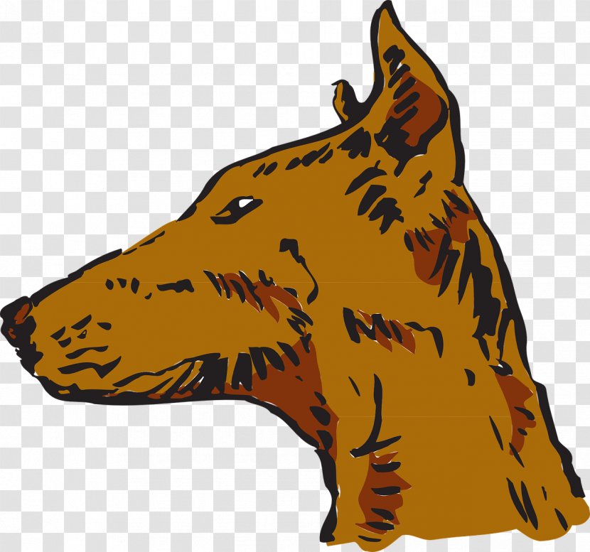 Labrador Retriever Animal Pet Clip Art - Head - Fox Transparent PNG