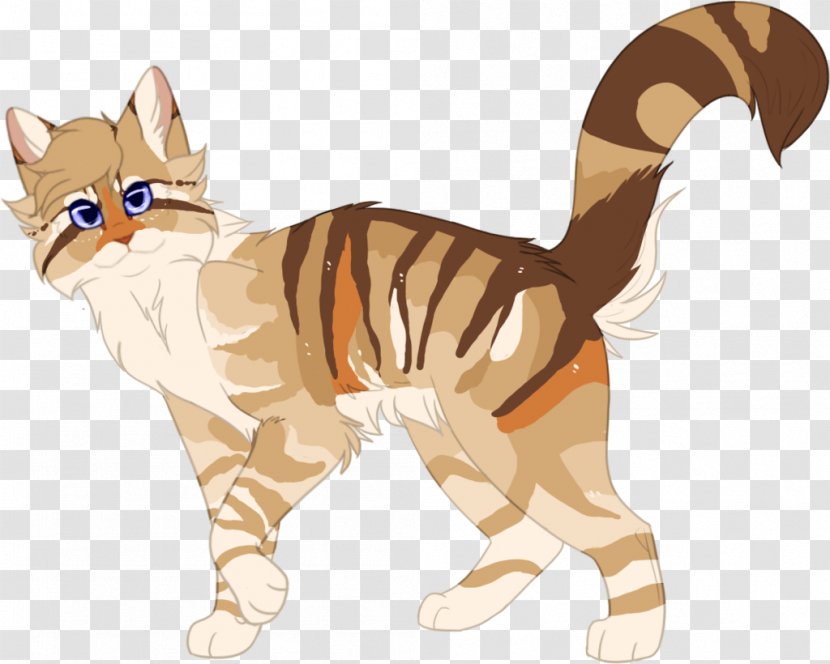 Cat Tiger Dog Fauna Illustration - Small To Medium Sized Cats Transparent PNG